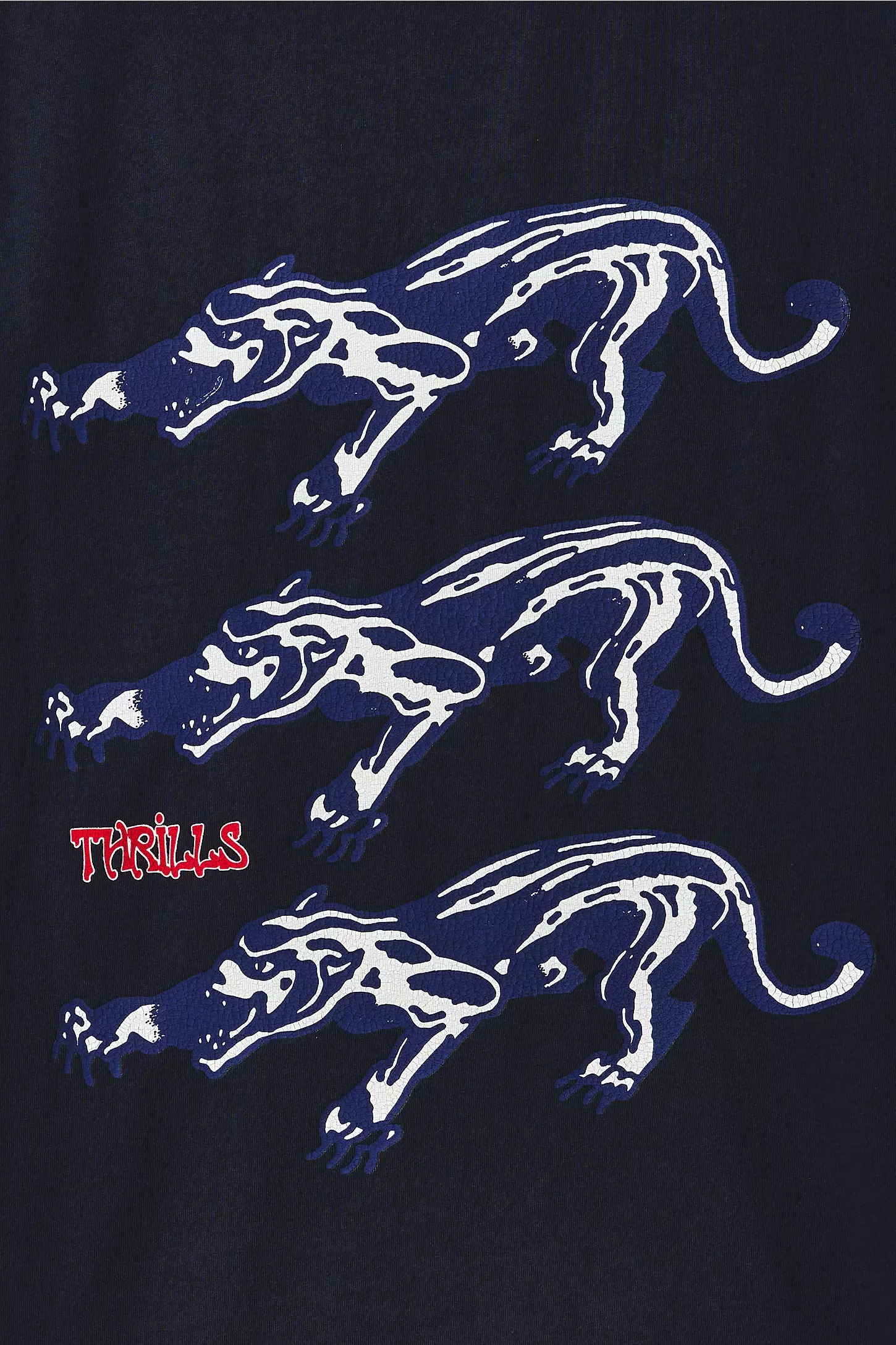 Camiseta regata de algodão com gola redonda e estampa DTF Graphic Musclet, 170g - TTTS3 5