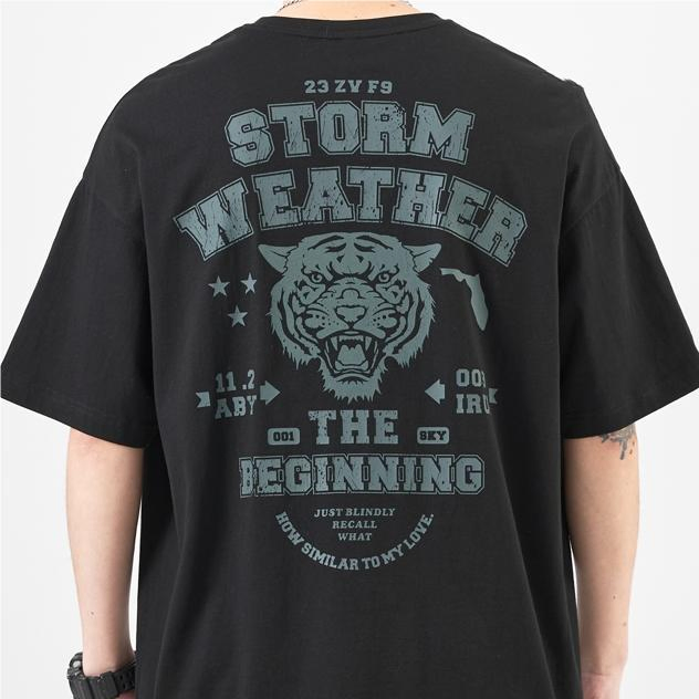 Bulk Custom Logo Printing Cotton T-Shirt - Men's Oversized Blank 2