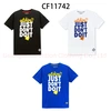 Loose and Comfortable Men's Cotton T-Shirts - 100% Cotton 2