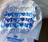 Custom Oversized 3D Heavy Weight Cotton T-Shirt - Plain Sublimation Blank 2