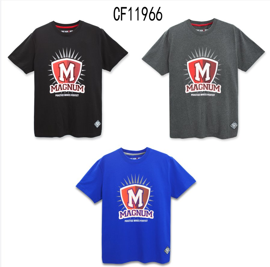 High Quality Polyester T-Shirt for Men - Breathable Stretch Sports Tee 2