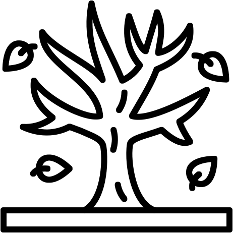 Place 1